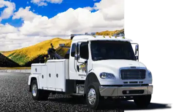 Professional Damage-Free Towing Operation